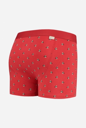 SHARKY - BOXER BRIEF 