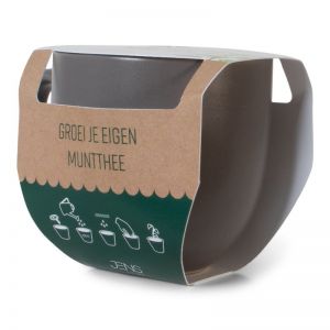 MOK - GROEI JE EIGEN MUNTTHEE MOK 