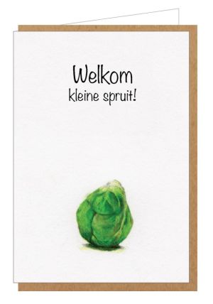 WELKOM KLEINE SPRUIT 